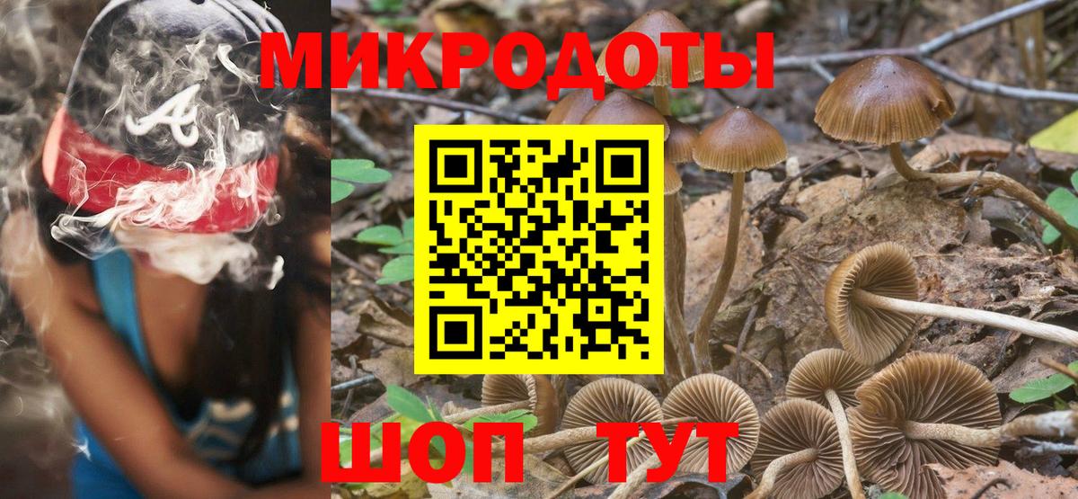 Нижнеудинск  Псилоцибиновые грибы мухоморы  Вход с VPN  Галлюциногенные грибы прущие грибы 